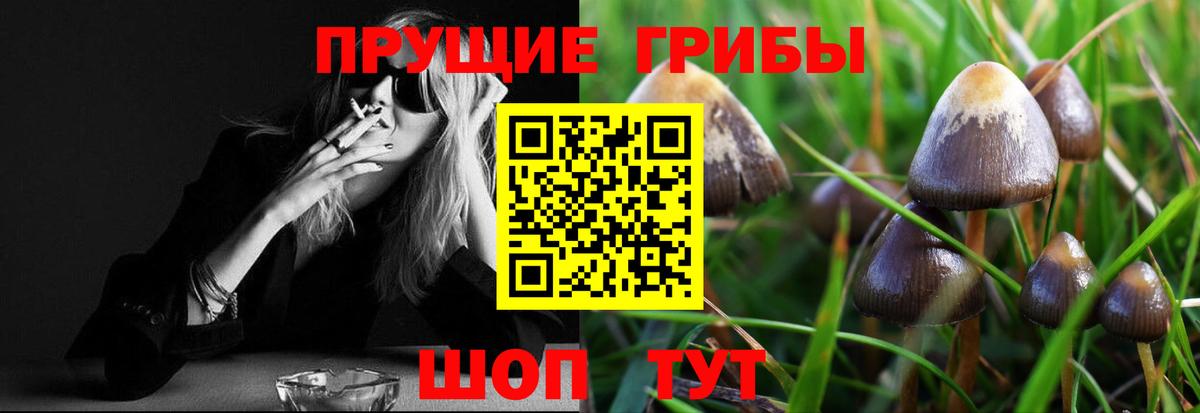 закладка  Вход с VPN  Краснознаменск  Галлюциногенные грибы мицелий 